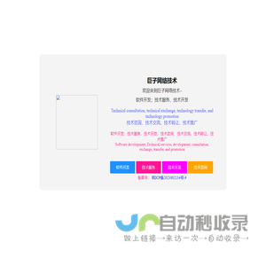 巨子网络技术