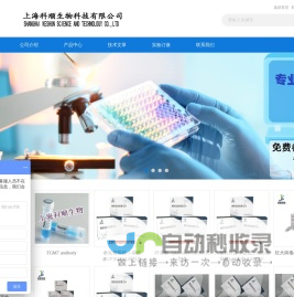 强大知识产权集团